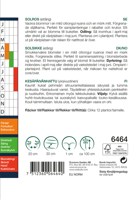Solsikke 'Buttercream'